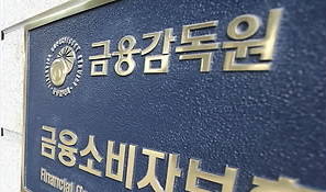 금융권 제재 건수 증권사 절반 넘어...전체  238건&middot;금액 352억