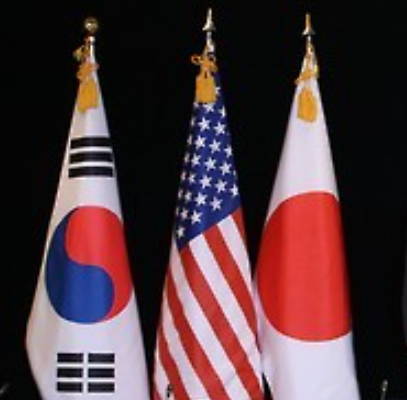 국내 10대 기업 GDP 대비 매출 규모 44.3%...미&middot;일의 2~3배