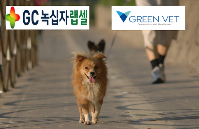 GC녹십자랩셀, 자회사 '그린벳' 신설…동물검사서비스 사업 진출