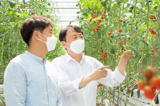 권준학 농협은행장(오른쪽)이 8월 10일 경기도 평택시에 위치한 ‘디디팜 농장’을 방문해 이영석 대표와 함께 농가를 둘러보고 있다.<사진 제공=NH농협은행>