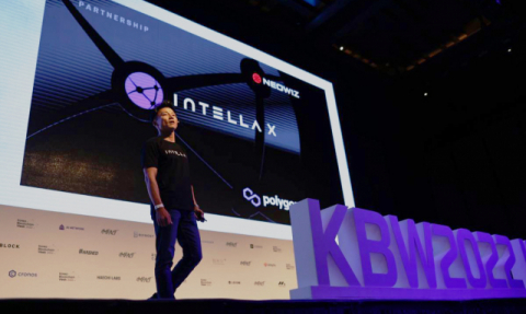 네오위즈, 블록체인 게임 플랫폼 ‘인텔라 X’ 만든다…“연내 정식 오픈”