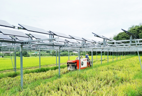 “농사도 짓고, 전기도 생산·판매하고”…경남 함양 '한화큐셀  영농형 태양광 발전 시범단지’