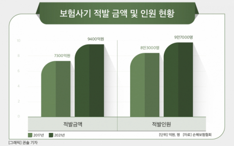 [그래픽] 보험사기 적발 금액 및 인원 현황
