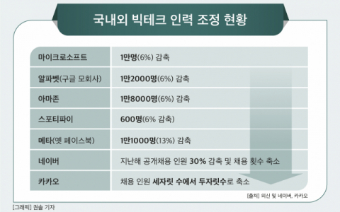 [그래픽] 국내외 빅테크 인력 조정 현황