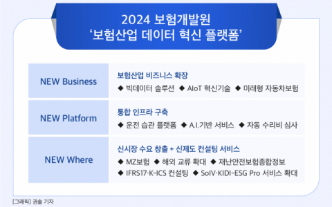 [그래픽] 2024 보험개발원 &lsquo;보험산업 데이터 혁신 플랫폼&rsquo;