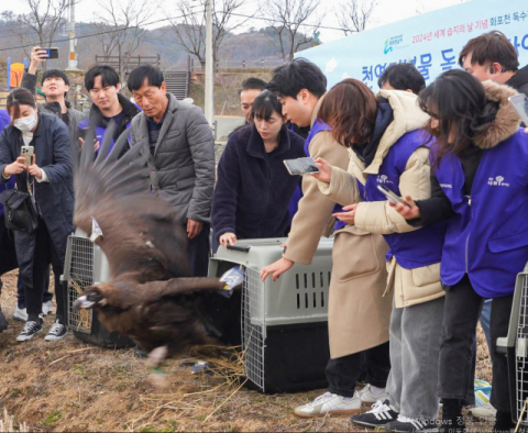 효성, 아사 위기 독수리 3마리 자연 방사&hellip;겨울철새 보호&middot;보존 지원