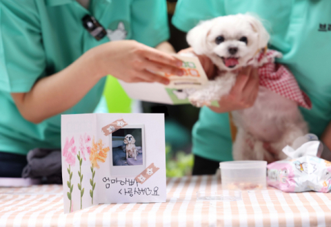 현대프리미엄아울렛 송도점, 반려견 친화 쇼핑 서비스 선보여