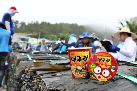 농심, 43년째 완도 다시마 사랑 이어가&hellip;올해 햇다시마 450톤 구매