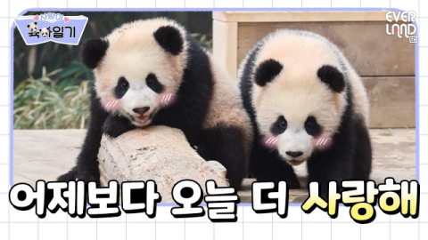에버랜드, 유튜브 구독자 250만명 돌파&hellip;위드에버랜드 등 3개 채널 운영