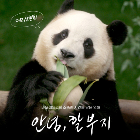 에버랜드, 푸바오와 미공개 영상 공개&hellip;&lsquo;안녕, 할부지&rsquo; 극장 개봉