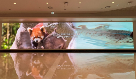 CGV, 레서판다 등 &lsquo;멸종위기 동물 보전 캠페인&rsquo;영상 코엑스몰에 송출