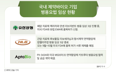 압타바이오&middot;유한양행&middot;HLB, 글로벌 항암제 시장 진출&hellip;&lsquo;병용요법&rsquo; 대세