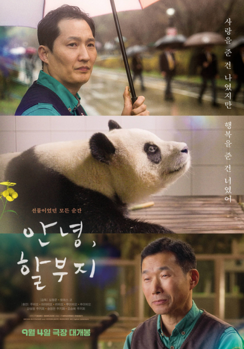 에버랜드, 푸바오 주연 영화 개봉 첫날 박스오피스 1위
