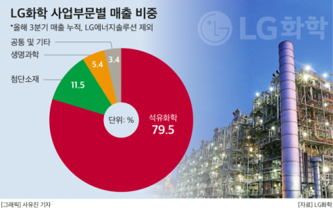 LG화학, 고강도 구조조정&middot;재고축소&hellip;석화 부문 수익성 개선 노린다