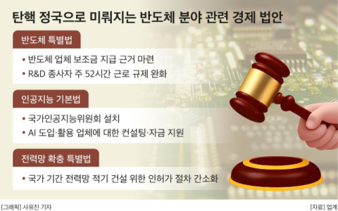 &lsquo;탄핵 정국&rsquo;, K-반도체법 발 묶였다 &hellip; &ldquo;미&middot;일은 수십조 쏟아 붓는데, 한국만 &lsquo;제로&rsquo;&rdquo;