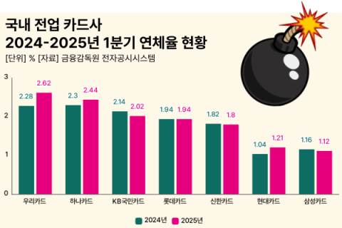 카드사 건전성 지표 악화&hellip;&lsquo;최저&rsquo; 지킨 삼성카드, 관리 방안은