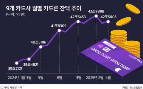 &lsquo;카드론&rsquo; 부실 증가에도 재차 증가&hellip;9개사 중 유일 KB국민카드는 줄어