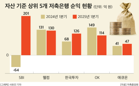 &lsquo;실적 턴어라운드&rsquo; SBI저축은행, 1년 만 수익 규모 1위 탈환