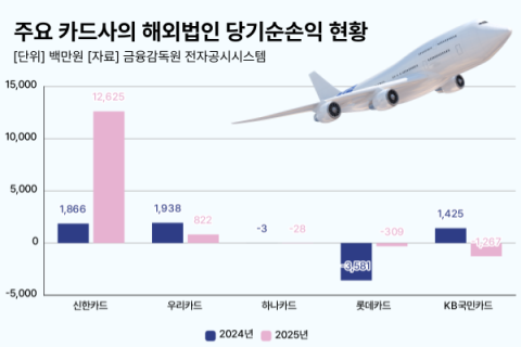 글로벌 시장서 고전하는 카드사&hellip;신한 외 4개사, 순익 반토막&middot;적자 유지
