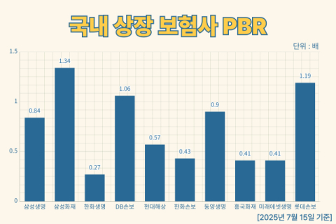 PBR 1배 넘지 못한 보험사 수두룩&hellip;주가 상승에도 주주환원 여력 의문