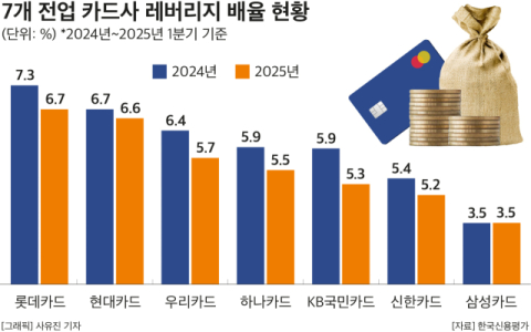 수익보다는 안정&hellip;7개 카드사, 레버리지 배율 일제히 개선세