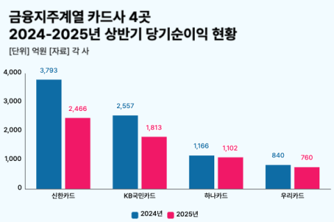 허리띠 졸라매도 소용없다&hellip;지주계 카드사, 상반기 순익 27%&darr;