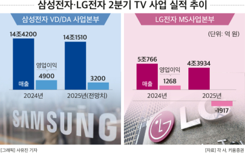 삼성&middot;LG, 글로벌 &lsquo;톱&rsquo; TV사업 &lsquo;역주행&rsquo; &hellip;&ldquo;수요둔화&middot;中 추격&middot;관세폭탄 &lsquo;3중고&rsquo;&rdquo;