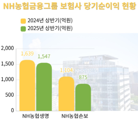 NH농협생&middot;손보, 상반기 성적 &lsquo;흐림&rsquo;&hellip;작년 比 순익 11.7% &darr;