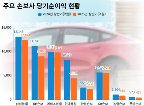 상반기도 생&middot;손보 순익 하락세&hellip;투자손익 성적에 희비 갈려
