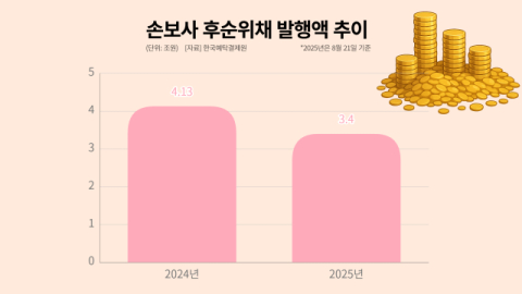 DB손보&middot;현대해상, 8천억 후순위채 발행&hellip;금리인하 예고에 &lsquo;만반의 준비&rsquo;