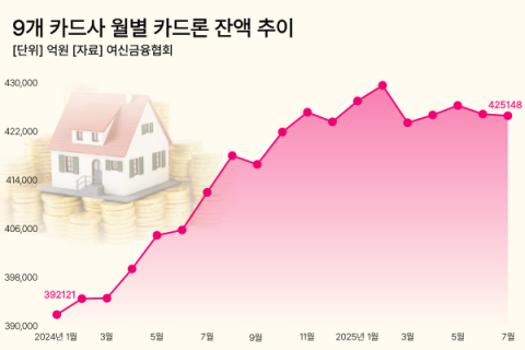 대출 규제에 카드론 잔액 두 달 연속 감소&hellip;카드사 수익성 &lsquo;어쩌나&rsquo;