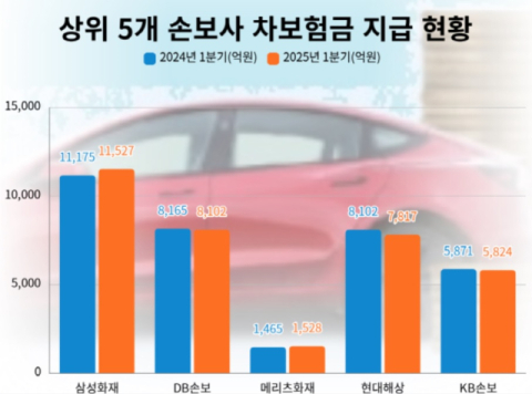 車보험금 지급 &lsquo;메리츠&uarr;&middot;현대해상&darr;&rsquo;&hellip;빅5 손해율 4.3%p 증가