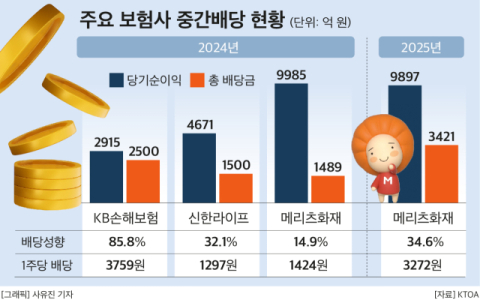 보험업 밸류업 &lsquo;난항&rsquo;&hellip;메리츠화재, 업계 유일 2년 연속 중간배당