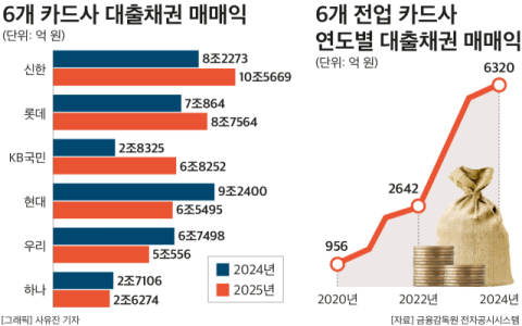 부실 대출채권 털어내는 카드업계&hellip;매매익 증가세 KB국민&middot;신한&middot;롯데 순