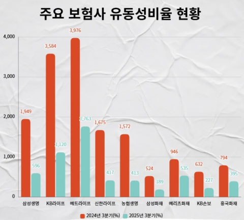 보험사 유동성비율 1년 새 급락&hellip;KB라이프&middot;카카오페이손보 낙폭 &lsquo;최대&rsquo;
