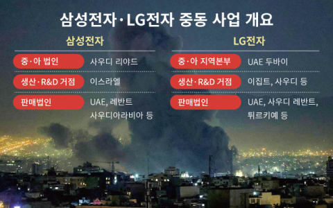 중동 리스크에 &lsquo;오일머니&rsquo; 흔들&hellip;삼성&middot;LG, &lsquo;글로벌 사우스&rsquo; 전략 제동 걸리나