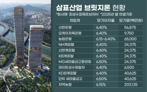 [그래픽] 삼표산업 브릿지론 현황