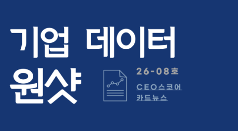 [26-08호] 외국계기업 특수관계자 거래비용 분석