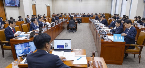 구글코리아&middot;배민 대표 국감 증인 선다&hellip;과세&middot;자금이전 구조 집중 검증