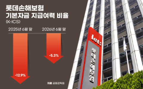 내년 보험사 기본자본 킥스 규제 시행&hellip;롯데손보 등 5곳 기준 미달