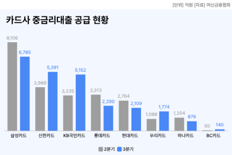 신한&middot;KB&middot;우리카드가 견인한 중금리대출&hellip;금리 상한&middot;조달비용에 추가 확대 &lsquo;신중&rsquo;